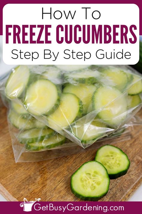 a freezer bag filled with sliced cucumbers on a cutting board When To Pick Cucumbers, Freeze Cucumbers, Freezing Cucumbers, Old Fashioned Mac And Cheese Recipe, Old Fashioned Mac And Cheese, Rain Garden Plants, How To Store Cucumbers, Sweet Pickles Recipe, Plants For Sun