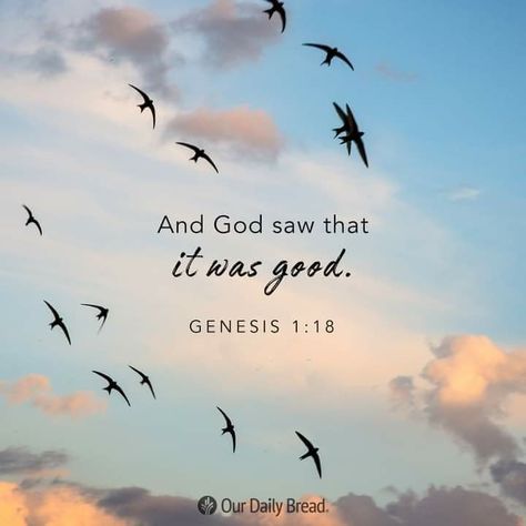 Ancient Words, Spiritual Food, Bible Quotes Wallpaper, Seek The Lord, Bible Study Verses, Christian Bible Quotes, Our Daily Bread, Seeking God, Gods Timing