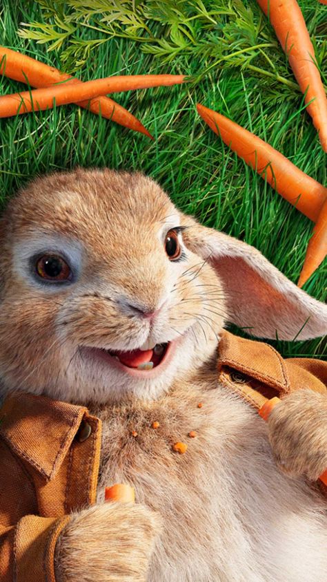 Peter Rabbit Wallpaper, Peter Rabbit Movie, Rabbit Wallpaper, Rabbit Pictures, Funny Rabbit, Spring Animals, Easter Wallpaper, Funny Wallpaper, Cute Backgrounds