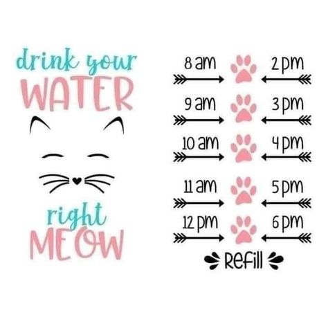 Cricut Water Bottle Decals, Water Bottle Tracker Svg Free, Water Bottle Svg Designs Free, Water Bottle Svg Free, Mickey Mouse Svg Free, Cricut Apps, Water Bottle Svg, Disney Castle Svg, Water Bottle Decals Vinyls