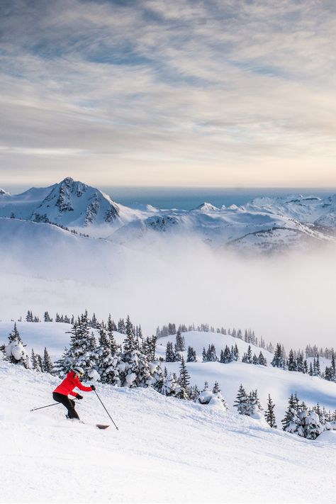 Ski Resort Guide: Whistler Blackcomb, the largest ski area in North America.

Photo Credit: Vail Resorts - Whistler

#WhistlerBlackcomb #whistlerbc #whistler Vail Resorts, Skiing Locations, America Photo, Whistler Blackcomb, Freestyle Skiing, Ski Trips, Celebrate Everything, Canada Destinations, Mountain Travel