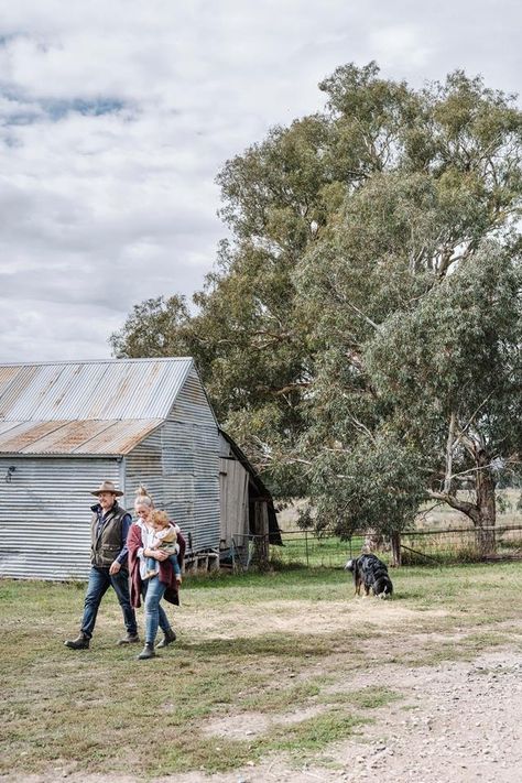 American Farm Aesthetic, Laura Farms, Farm Aesthetic Country Living, Farm Aesthetic Country Living Family, Old Farmhouse Renovation, Farm Wife Life, Country Homesteads Australia, 1950s Farmhouse, Farming Uk Country Life