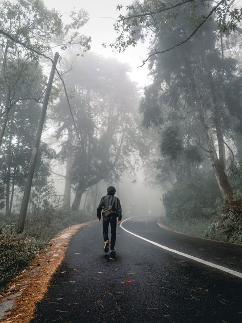 Back View of a Person Walking Alone on an Asphalt Road · Free Stock Photo Person Walking Back View, Struggle Wallpaper, Boy Walking Video, Walking Alone On The Road, Person Back View, Walking Back View, 1989 Songs, Alone Images, Walks Aesthetic