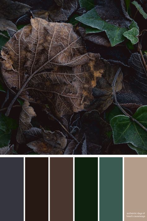 New Pictures dark Color Schemes Popular Many of us comprehend the fundamentals regarding the colour wheel: from main along with additional c #Color #dark #Pictures #Popular #Schemes Dark Neutral Color Palette, Leaves Color Palette, Autumn Leaf Color, Color Palette Inspiration, Palette Design, Color Schemes Colour Palettes, Palette Inspiration, Dark Autumn, Fall Color Palette