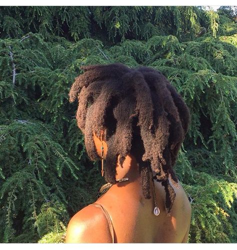 @freeandformed and her beautiful Freeform locks. Congo Dreads, Freeform Dreadlocks, Afro Dreads, Rasta Music, Free Form Locs, Freeform Dreads, Freeform Locs, Dreadlock Rasta, Thick Locs