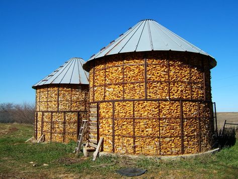 Corn Cribs. Unshelled corn harvest, stored in wire bins , #Sponsored, #Unshelled, #corn, #Corn, #Cribs, #wire #ad Street Beautification, Corn Festival, Corn Harvest, Grain Bins, Landscape References, Corn Crib, Crib Design, Corn Grain, Wire Bins