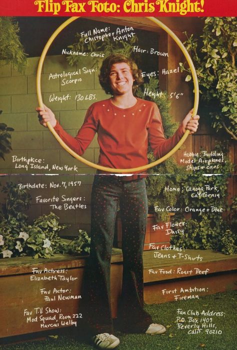 Christopher Knight as Peter Brady Peter Brady, Eve Plumb, Robert Reed, Dylan And Cole, 70s Tv Shows, Canoga Park, Ab Fab, The Brady Bunch, Teen Magazine