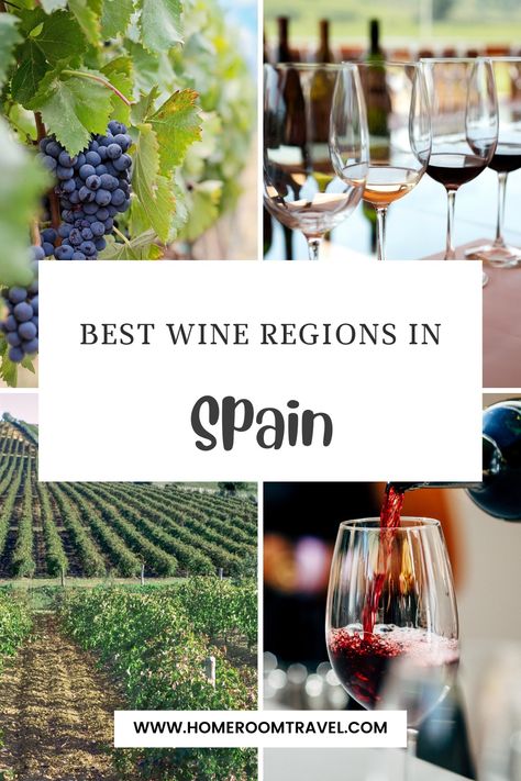 A trip to Spain is not complete without a visit to some of the best wine regions in Spain. The country is the third-largest producer of wine in the world. Discover the best regions and try popular Spanish wines like Rioja, Tempranillo, Albariño, Godello, and Sherry. Spain Wine, South Spain, Things To Do In Spain, Grape Uses, Spain Itinerary, Fortified Wine, Trip To Spain, Spanish Wine, The Continents