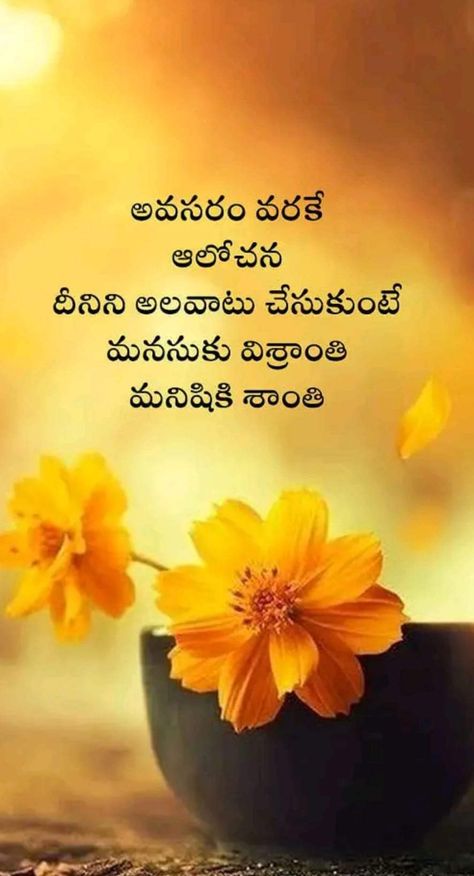 Telugu Quotations, Truths Of Life, Telugu Inspirational Quotes, Beautiful Morning Quotes, Indian Wedding Couple Photography, Devotional Reading, Images For Dp, Telugu Quotes, Quotes Telugu