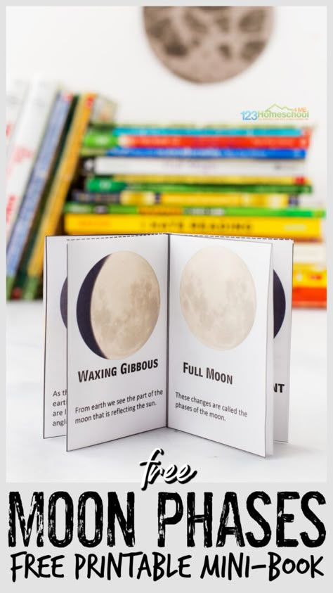 Moon Montessori Activities, Phases Of Moon Printable, 1st Grade Study Ideas, Moon Phases With Flashlight, Moon Phases Kindergarten Activities, Moon Phase Activities, Moon Phases Classroom Activity, First Grade Moon Activities, Moon Phases Unit Study