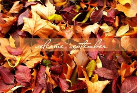 Welcome September autumn leaves fall month september hello september september quotes Cover Photos For Facebook, September Pictures, Autumn Leaves Wallpaper, Autumn Leaves Background, White Chapel, Photos For Facebook, Hello September, Fall Fragrance, Autumn Leaves Photography