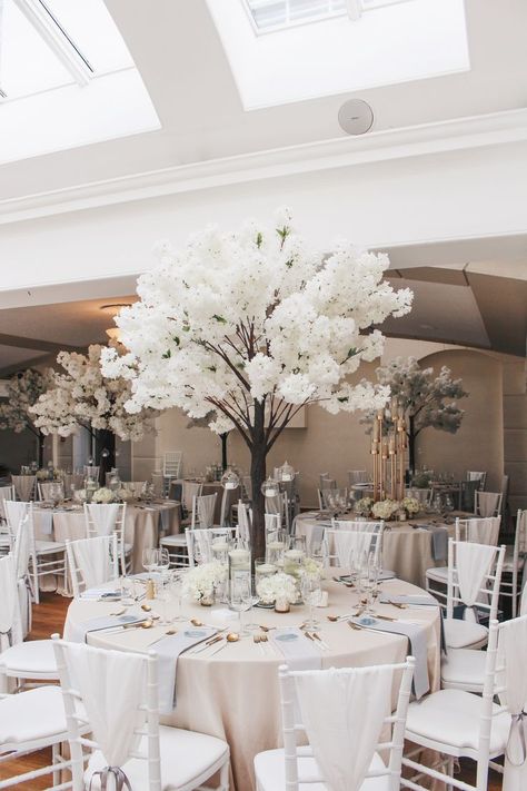 White blossom tree wedding centrepieces Trees On Tables Wedding, Blossom Tree Centrepiece, Blossom Tree Wedding Centerpiece Ideas, White Blossom Trees Wedding, Trees For Weddings, Blossom Tree Centrepiece Wedding, White Tree Centerpieces, White Tree Centerpieces Wedding, White Trees Wedding