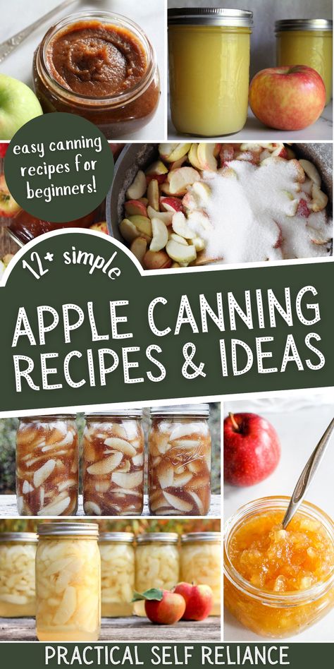 Waterbath Canning Apples, Canning Recipes Applesauce, Preserve Apples Ideas, Homemade Apple Butter Canning, Apple Pickle Recipe, Freezer Canning Recipes, Backyard Apple Recipes, Skin On Apple Recipes, Canning With Apples Recipes