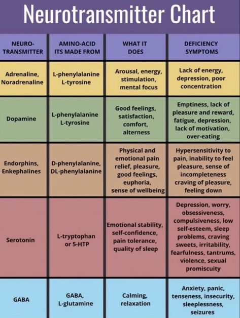 Neurotransmitters And Mental Health, Brain Anatomy And Function, Psychology Notes, Psychology Studies, L Tyrosine, Brain Facts, Mental Health Facts, Mental Health Therapy, Therapy Worksheets