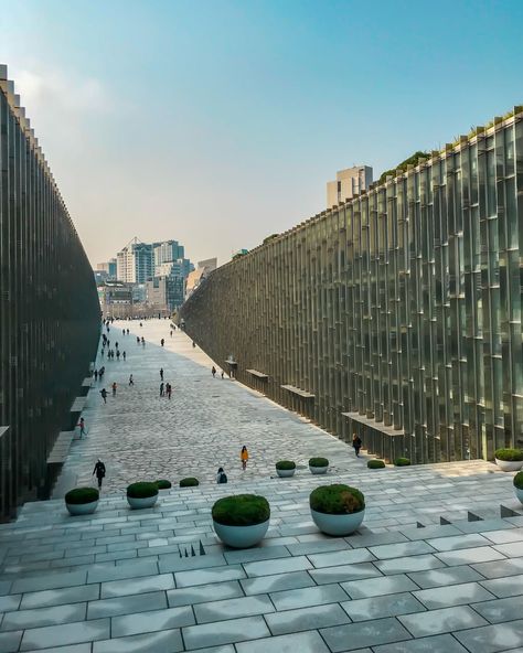 Ewha University Aesthetic, Ehwa University, Yonsei University Campus, Ewha University, Ewha Womans University, Korean University, Yonsei University, Korea University, School Study Ideas