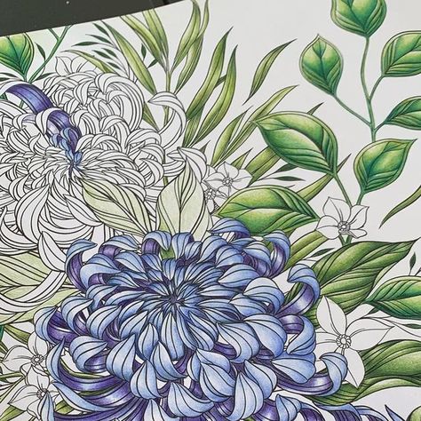 Bloomin Happy - Louise on Instagram: "WIP 💙 Flowerscape - Getting there slowly slowly. #colorflowerscape #flowerscape #adultcolouring #slowestcolour #slowestcolorerever #polychromos #adultcolouringpages" Flowerscape Coloring, Maggie Enterrios, Slowly Slowly, Flowers Drawing, Adult Colouring Pages, Colouring Book, Art Flowers, Painting Photos, Flower Drawing