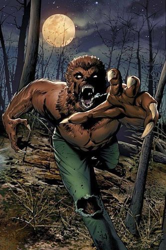 Werewolf By Night, Midnight Son, Werewolf Art, Marvel Comic Character, A Wolf, Moon Knight, Comic Character, Jack Russell, Marvel Studios