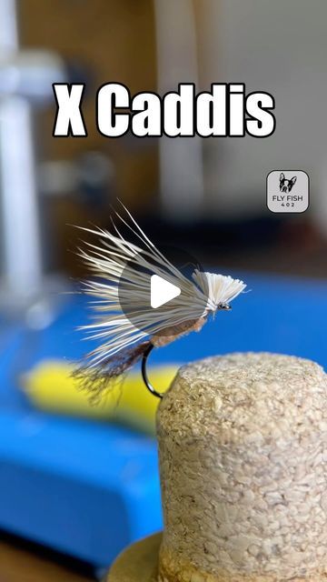 Adam Lafferty on Instagram: "X Caddis!  A great Caddis pattern that’s about as easy to tie and they come!   Fly Tying Materials: Hook: @fulling_mill FM 5050 size 14 Thread: @veevusfishing 10/0 D21 Shuck: Z Lon Brown Body: Hareline Superfine Dry Fly Dubbing Cinnamon Caddis Wing: Elk Hair Natural  Fly Tying Tools: @wolffindiana Apex Vise @ritebobbin Rite Bobbin standard @loonoutdoors Whip Finisher  #flytying #flytyingtutorial #flyfishing #flytyingtips #tyingflies #flytyingforbeginners #flies" Scud Fly Patterns, Caddis Emerger Fly Patterns, Fly Tying Tools, Stillwater Fly Patterns, Saltwater Fly Patterns, Caddis Flies, Fly Tying Materials, Clouser Minnow Fly Tying, Fly Tying Patterns