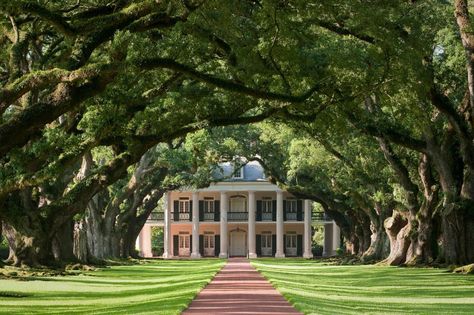 New Orleans Plantations, Old Southern Plantations, Louisiana Plantations, Southern Plantations, Scarlett O'hara, Unusual Homes, Greek Revival, Mount Pleasant, Old Houses