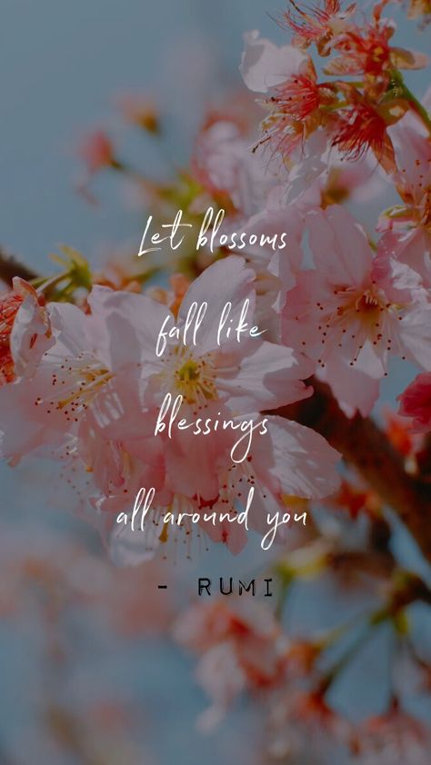 Love Blossoms Quotes, Quotes On Blooming Flower, Spring Blossom Quotes, Flower Blossom Quotes, Cherry Blossom Quotes Inspiration, Rumi Quotes Wallpaper, Blossoming Quotes, Blossom Quotes Inspiration, Blossoms Quotes