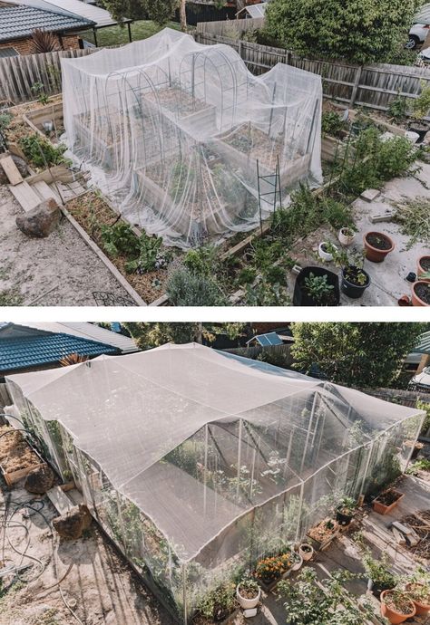 Garden Bed With Cover, Covered Vegetable Garden Ideas, Veggie Garden Inclosed, Screened In Garden, Insect Netting Garden, Enclosed Vegetable Garden Ideas, Garden Cage Ideas, Garden Covering Ideas, Bird Netting For Garden