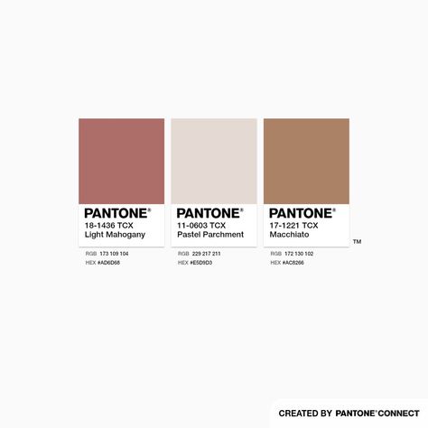 Light Brown Pantone, Pantone Peach Shades, Light Pink Pantone Colour Palettes, Tender Peach Pantone, Pantone 13-1023 Peach Fuzz, Pantone Color Chart, Autumn Soft, Romantic Colors, Abstract Art Wallpaper