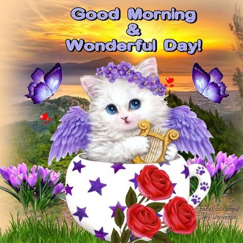 Good Morning & Wonderful Day Pictures, Photos, and Images for Facebook, Tumblr, Pinterest, and Twitter Good Morning Cat Images, Cats Good Morning, Cat Good Morning, Good Morning Wonderful, Funny Good Morning Messages, Good Morning Animals, Morning Sister, Good Morning Christmas, Good Morning Cat