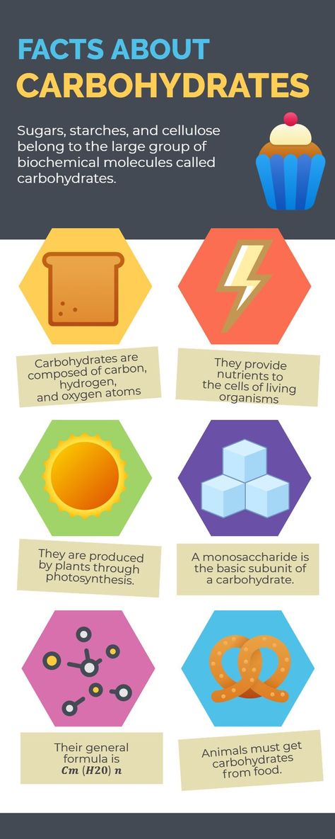 Chemistry topics Carbohydrates Chemistry, Chemistry Facts, Food Chemistry, Photosynthesis, The Cell, Biology, Chemistry, Personal Development, Fun Facts