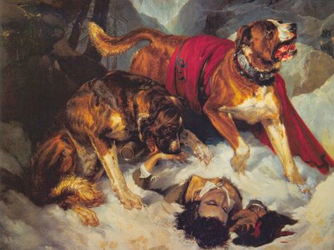 Edwin Landseer, Loyal Dog Breeds, Dog Breed Names, Every Dog Breed, Bernard Dog, Dream Symbols, Loyal Dogs, Owl Pictures, Classical Art