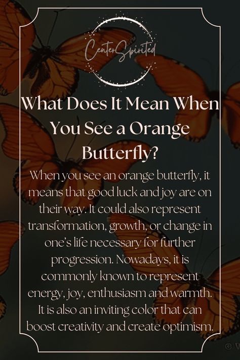 Orange Dragonfly Meaning, Black And Orange Butterfly Meaning, Brown Butterfly Meaning, Red Admiral Butterfly Meaning, What Do Butterflies Symbolize, Orange Butterfly Meaning Spiritual, Butterfly Types And Meanings, Orange Butterfly Meaning, Pagan Meaning