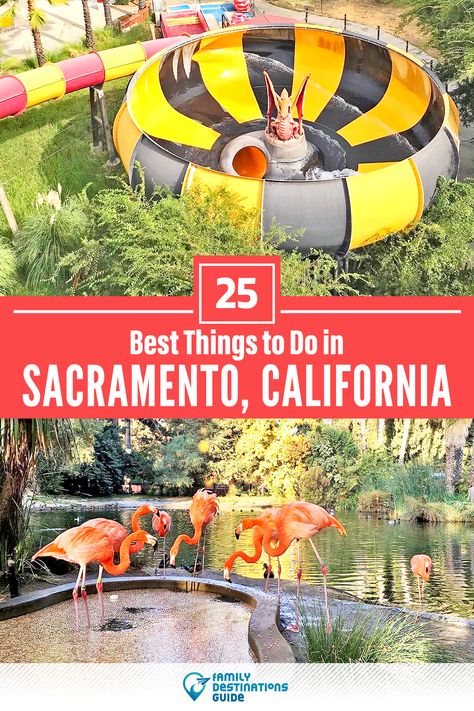 Want to see the most incredible things to do in Sacramento, CA? We’re FamilyDestinationsGuide, and we’re here to help: From unique activities to the coolest spots to check out, discover the BEST things to do in Sacramento, California - so you get memories that last a lifetime! #sacramento #sacramentothingstodo #sacramentoactivities #sacramentoplacestogo Day Trips From Sacramento Ca, Things To Do Sacramento Ca, Sacramento Things To Do, Things To Do In Sacramento California, Things To Do In Sacramento, Watsonville California, Downtown Sacramento, Friend Dates, Zoo Trip