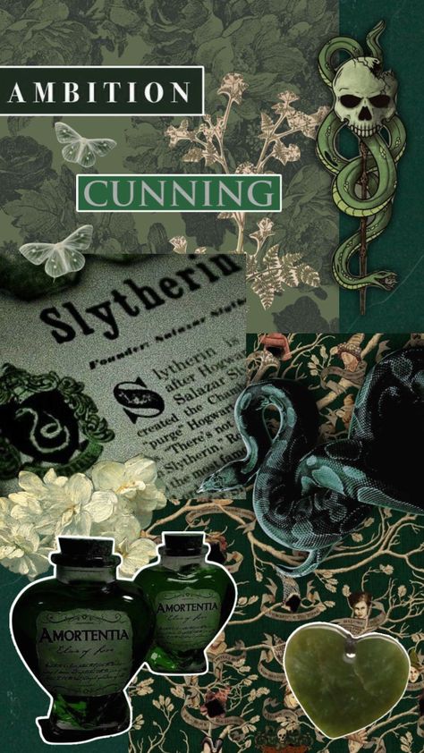 #slytherin #harrypotter #aesthetic #dracomalfoy #collage Slytherin Collage Aesthetic, Slytherin Wallpaper Collage, Slytherin Collage, Ominous Gaunt, Slytherin Queen, Harry Potter Wattpad, Harry Potter Lumos, Harry Potter Wallpaper Backgrounds, Slytherin Stuff