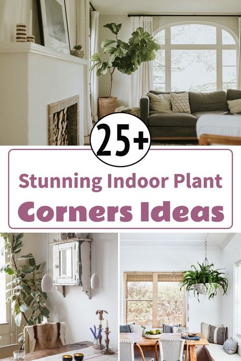 Add glamour and green vibe to the section of your rooms by taking ideas from these Stunning Indoor Plant Corners for having fabulous indoor decor! Plant Decor Corner Living Room, Hanging Plants In Living Room Ideas, Styling Plants Living Rooms, Corner Indoor Plant Ideas, Plants Corner Indoor, Hanging Plants In Corner Of Room, Hanging Plants In Dining Room, Corner Decor With Plants, Plant Corner Dining Room