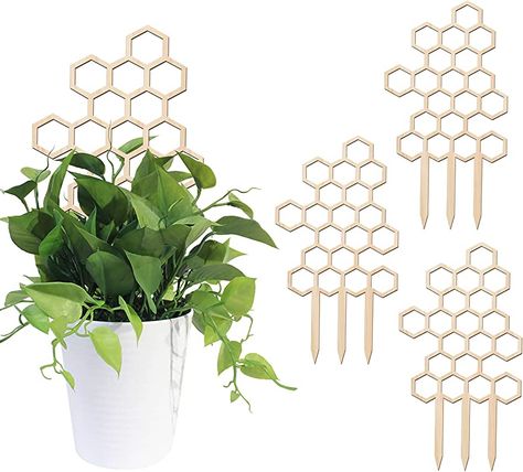 OPUHOHR 3 Pcs Wooden Honeycomb Plant Trellis for Climbing Plants, Mini Potted Plant Support, Garden Trellis for Potted Plants Flowers Indoor Outdoor : Amazon.ca: Patio, Lawn & Garden Mini Monstera Trellis, Wooden Garden Trellis, Indoor Climbing Plants, Brass Plant Stakes, Indoor Plant Trellis, Small Trellis, Climbing Trellis, Wooden Trellis, Honeycomb Shape