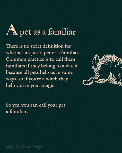 Tell me about your familiars 🐾 Witchcraft Inspiration, Familiar Spirits, Gray Witch, Solitary Witch, My Book Of Shadows, Witches Familiar, Proceed With Caution, Book Of Shadows, Witch