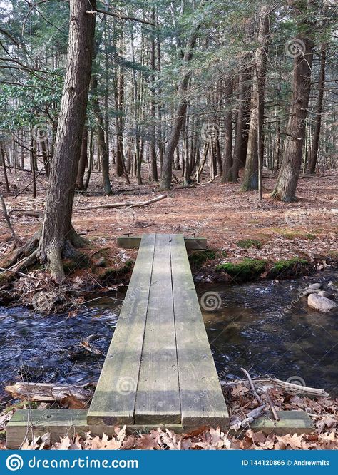 Bridge In Forest, Bridge Over Creek, Plank Bridge, Creek Bridge, Pocono Mountains, Wood Planks, Pennsylvania, Photo Image, Meditation