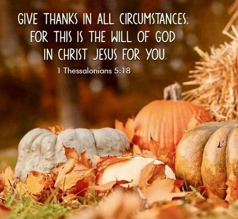 Thankful Scripture Quotes, Happy Thanksgiving Quotes Friends, Thankful Scripture, Thanksgiving Quotes Christian, Thanksgiving Verses, Thanksgiving Scripture, Thanksgiving Bible Verses, Fall Bible Verses, Christian Thanksgiving