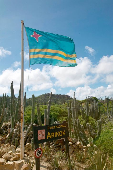 Aruba Aruba Aestethic, Aruba Oranjestad, Aruba Pictures, Aruba Trip, Aruba Flag, Aruba Island, Oranjestad Aruba, Caribbean Flags, Aruba Vacation