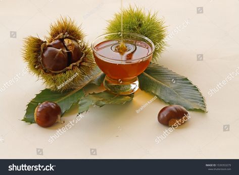 natural chestnut and chestnut honey #Ad , #PAID, #natural#chestnut#honey Chestnut Flower, Chestnut Honey, Snack Items, Organic Honey, Natural Honey, Living Food, Chestnut, A Food, Honey