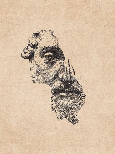 "MARCUS AURELIUS ANTONINUS AUGUSTUS / Pencil" Canvas Print for Sale by danielcoulmann | Redbubble Mens Stoic Tattoos, Marcus Aurelius Portrait, Marcus Aurelius Drawing, Marcus Aurelius Tattoo Sleeve, Marcus Aurelius Tattoo Design, Marcus Aurelius Aesthetic, Marcus Aurelius Wallpaper, Stoic Tattoos For Men, Classic Art Tattoo