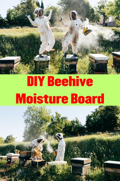 DIY Beehive Moisture Board Diy Beekeeping, Diy Beehive, Varroa Mite, Beekeeping For Beginners, Winter Care, Bee Colony, Bee Pollen, Bee Keeping, Bee Hive