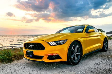 Lorsque l’on demande aux hommes quelles sont les voitures les plus mythiques de l’histoire, la Ford Mustang fait partie des modèles les plus cités.  Mais comment expliquer le succès de cette muscle car américaine ? Pourquoi la Mustang est-elle devenue un tel mythe pour les fans d’automobile ? Carros Bmw, Muscle Car, May 20, Supercars, Ford Mustang, Transformers, Mustang, Photo Image, Photo Editing