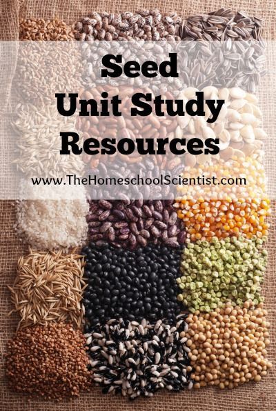 Seed Science, Garden Unit, Preschool Garden, Social Studies Notebook, Farm Unit, Study Resources, Science Activities For Kids, Plant Science, Science Curriculum