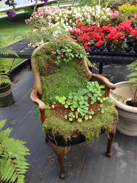 Moss Covered Chair, Moss Furniture, Planter Chairs, Moss Chair, Covered Furniture, Moss Planter, Whimsical Garden Art, Chair Planter, Moss Covered