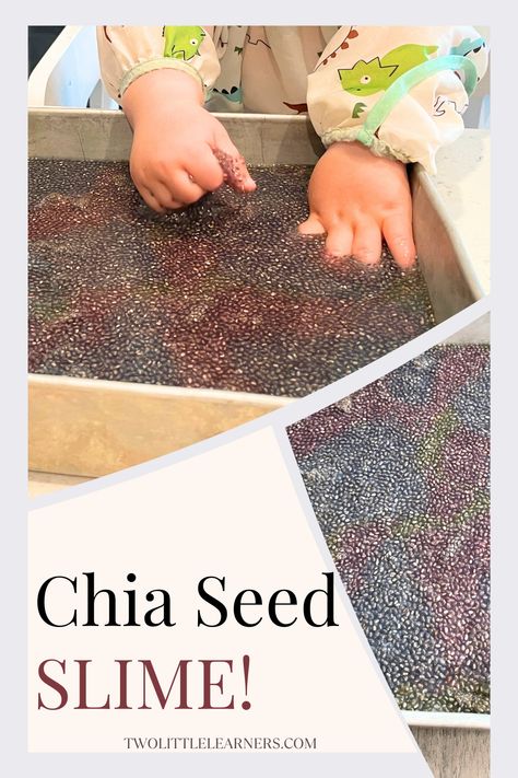 This post is all about the best chia slime recipe to make a chia slime sensory bin. Learn about making chia seed slime which makes a great taste safe sensory play idea. Read more about edible slime and edible sensory bins at twolittlelearners.com Oatmeal Sensory Play, Slime Sensory Bin, Chia Seed Slime Recipe, Sensory Recipes, Chia Slime, Chia Slime Recipe, Chia Seed Slime, Chia Seed Tuff Tray, Chia Seed Sensory Play