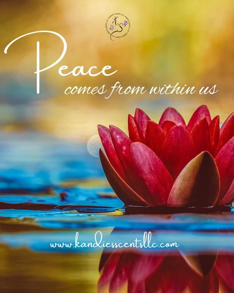 Peace can be found inside of us. So, instead of looking for it in a chaotic world, just take a moment and tap into your inner zen. Peace out! ✌️ #innerpeace #findyourzen #peacewithin #calmyourmind #mindfulness #peacefulmind #innerharmony #tranquilityzone #kandiesscentsllc Peace Photos, Images Of Peace, Mindful Monday, Monday Quote, Teaching Mindfulness, Inner Peace Quotes, Fire Ring, Well Said Quotes, Simple Reminders