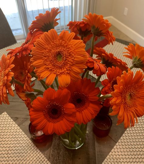 #mymg #yourmg ❤️💚💍🍀 Orange Gerber Daisies 😍🥰 Gerba Daisy, Sunflowers And Gerber Daisies, Orange Gerbera Bouquet, Orange Gerber Daisy, Gerbera Daisy Leaves, Gerbera Daisy Orange, Orange Daisies, Dried Oranges, Gerber Daisies