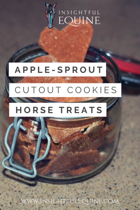 Horse Cookies Recipes, Homemade Horse Treats, Horse Nutrition, Animal Treats, Horse Cookies, Cutout Cookies, Apple Spice, Horse Feed, Horse Treats