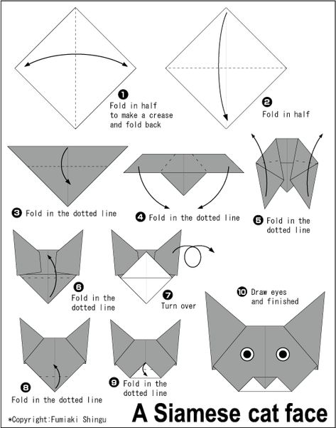 Origami Siamese cat(face) Origami Cat Face, Origami Instructions For Kids, Cat Origami, Origami Owl Bracelet, Origami For Kids, Best Origami, Easy Origami Flower, Origami Animal, Easy Origami For Kids