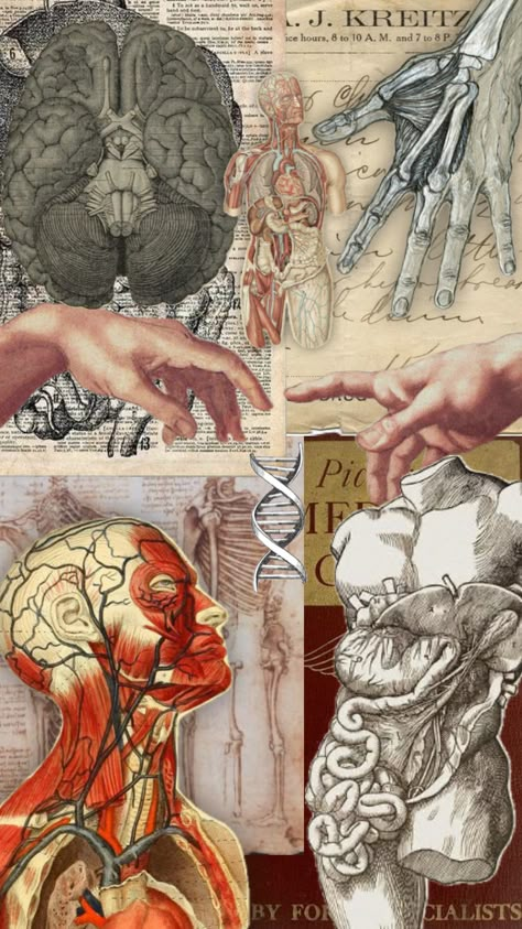 #vibes #wallpaper #art Vintage Medical Art, Body Farm, Medical Drawings, Body Science, Human Body Art, Dinosaur Wallpaper, Nurse Aesthetic, Medical Wallpaper, Human Body Anatomy